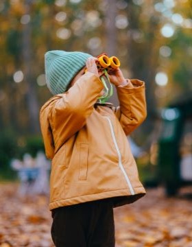 Kids Birds Watching campgrounds